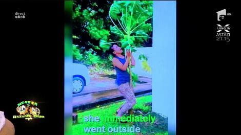 Chiar dacă taifunul lovește, o tânără din Japonia își protejează copacul din curte cu prețul vieții. Râde și plânge în același timp