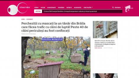 Cele mai vizualizate știri pe Observator.TV din 17 noiembrie 2017