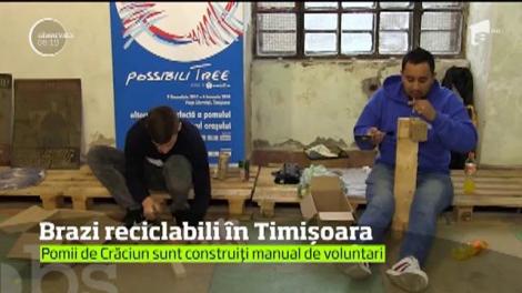 Brazi reciclabili în Timişoara