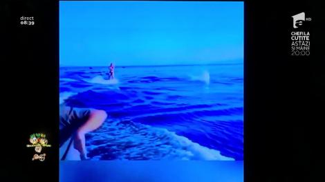 Smiley News! "Transhumanța" maimuțelor