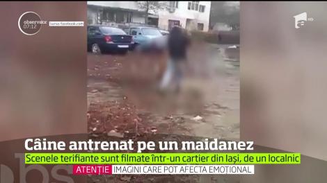 Scene de o cruzime înfiorătoare au fost filmate într-un cartier din Iaşi