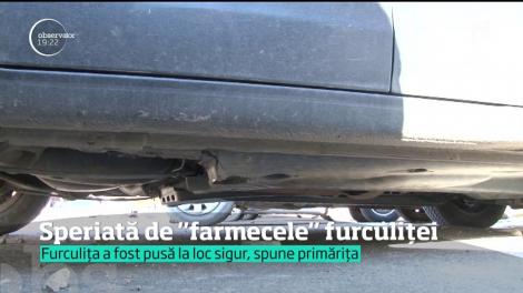 După ce a găsit o furculiţă sub maşină, o primăriţă din Dâmboviţa suflă şi-n iaurt. I s-ar fi făcut farmece
