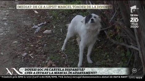 Marcel Toader a mers la fosta soacră să returneze hainele fostei soții: "Am făcut predarea cu doi martori"