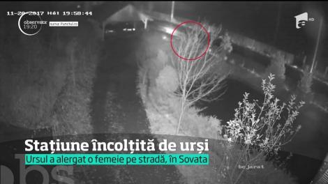 La Sovata, camerele de supraveghere au surprins o urmărire de coşmar. O femeie a fost alergată de un urs, chiar în centrul staţiunii