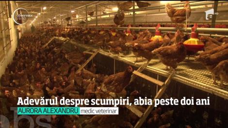 Consiliul Concurenţei caută vinovaţii în scandalul scumpirilor de la raft