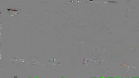 O asociație a împărțit localnicilor din mai multe sate de lângă Alba Iulia steaguri care să fie arborate la case