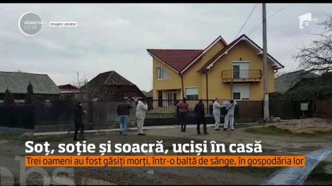 Un triplu asasinat a zguduit liniştea din comuna Apa, Satu Mare!