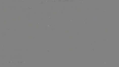 Stela Popescu putea fi salvată? Ultimele ore de viață ale doamnei teatrului românesc. Apar detalii HALUCINANTE!