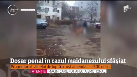 Stăpânul câinelui de luptă care, în urmă cu câteva zile, a fost la un pas să omoare un maidanez a fost amendat și are dosar penal