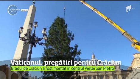 Pregătirile pentru Crăciun sunt în toi la Vatican