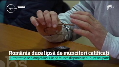 Angajatorii din România trag un semnal de alarmă. Nu găsesc muncitori pe care să îi angajeze în fabricile lor.