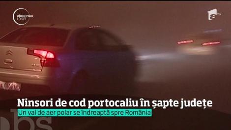 Iarna mai face un pas. Iar de mâine, viscoleşte în şapte judeţe. Meteorologii au emis un cod portocaliu de ninsori şi vânt puternic