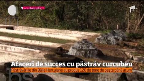 Proprietarii de păstrăvi din Caraș-Severin anunță o producție record în 2017