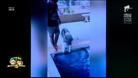 Smiley News! Câinele care nu știe să înoate