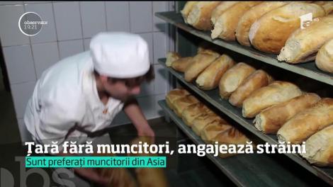 Firmele din România renunță la angajații români și aduc oameni de peste hotare. Republica Moldova, Ucraina şi chiar Sri Lanka, pe lista angajatorilor