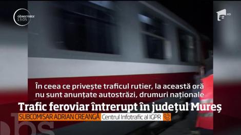 Trafic feroviar întrerupt în județul Mureș! Din cauza zăpezii, doi copaci s-au prăbușit pe calea ferată