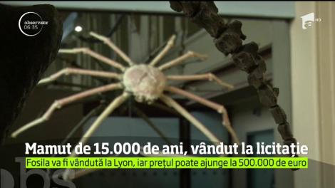 O casă de licitaţie din Franţa pune în vânzare o piesă într-adevăr excepţională