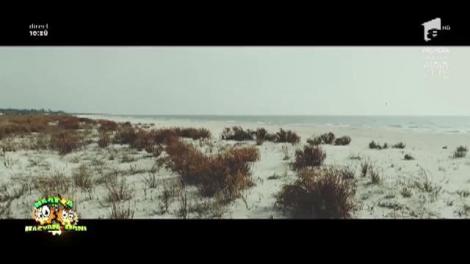 Lidia Buble - "Cămașa"