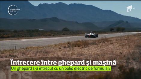 O întrecere inedită a avut loc pe pista unui aerodrom din savana Africii de Sud