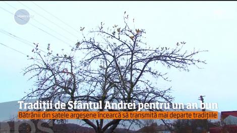 Noaptea de Sfântul Andrei, considerată magică! Ce tradiții trebuie să respecți pentru un an lipsit de probleme: "Le-am povestit prietenilor şi ei fac acelaşi lucru"