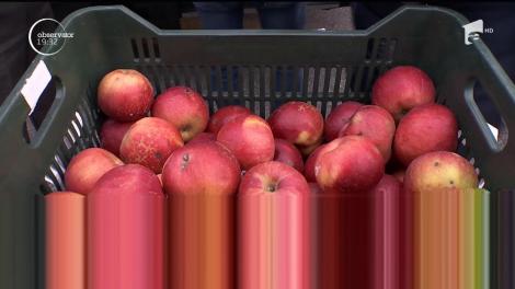 România importă muncitori din Asia