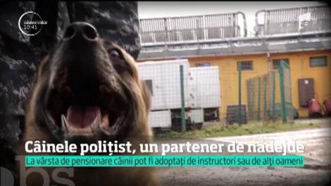 Îi vedem la percheziţii. Capturi de droguri. Depistare substanţe explozive sau căutări de persoane dispărute