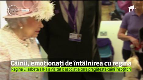 Regina Elisabeta a Doua, a vizitat o organizaţie de binefacere care-i ajută în acelaşi timp pe oameni şi pe prietenii lor canini