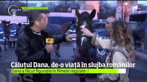 De ziua noastră, îi sărbătorim şi pe cei care, de ani de zile, ne fac să ne simţim în siguranţă!