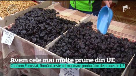 Românii, cei mai mari producători de prune din Europa. Însă, recolta nu ajunge în borcanele cu magiun, ci în cazanele de ţuică