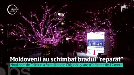 La Chişinău, pomul de Crăciun aduce scandal în locul atmosferei de sărbători