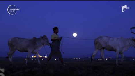 Superluna, mai stălucitoare ca niciodată. Un fenomen rar va avea loc