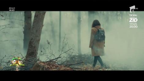 Voltaj feat. Andra - Nu doar de ziua mea