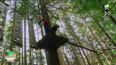 Aventuri la înălțime. Vedetele lui nea Mărin au ajuns agățate în vărful copacilor!: ”Bine că am o relație stabilă, că după aventura asta nu mă mai lua nimeni”