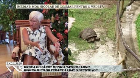 Monica Tatoiu, măcinată de probleme se gândește la moarte: ”Eu nu vreau să mă ducă cu popa. Vreau să fiu incinerată”