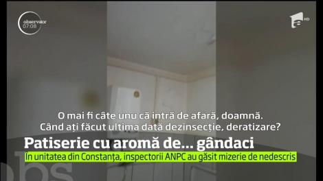 Mizerie de nedescris, într-o patiserie din Constanța! Gândacii se plimbă printre alimente: "Asta este margarină cu gândaci, de mai multe nații"