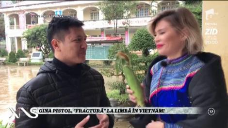 Jurnalul de călătorie Asia Express. Gina Pistol învață vietnameza!