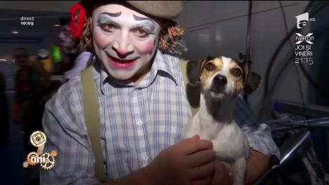 Mai vedem animale la circ? Marian Duță, în direct, la Circ & Variete Globus