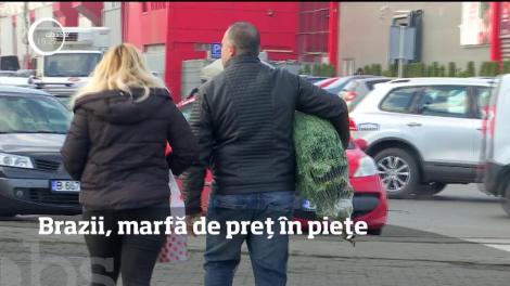 Pomii de Crăciun au umplut pieţele din România