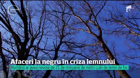 Criza lemnul îi îmbogăţeşte pe speculanţi