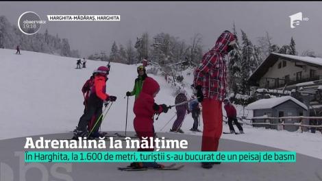 La Cota 2.000 din Sinaia, şase din cele şapte pârtii sunt deschise pentru distracţie
