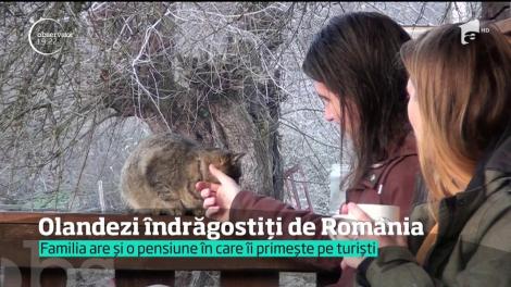 A dat traiul din Olanda, pe liniştea din România. De doi ani, locuieşte într-un sat din Apuseni