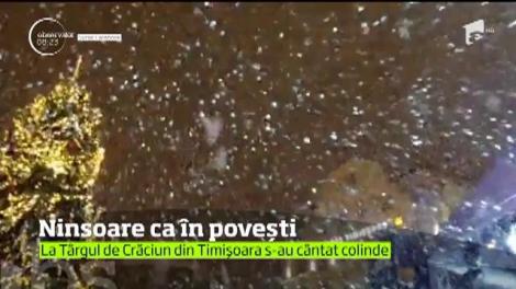 Ninsoare ca în povești în Timiş! A nins în aproape tot judeţul, spre bucuria localnicilor