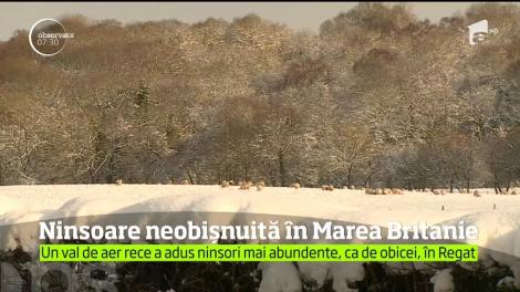 Ninsoare neobișnuită în Marea Britanie. Meteorologii avertizează că ninsoarea va continua