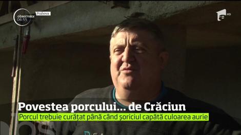 Obiceiurile de Ignat, pas cu pas