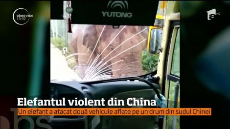 Imagini şocante surprinse pe un drum din sudul Chinei!
