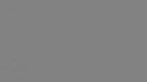 Abilitatea pe care toţi îşi doresc să o aibă! Aşa îţi dai seama când cineva te minte. Demonstraţie în direct, la Neatza