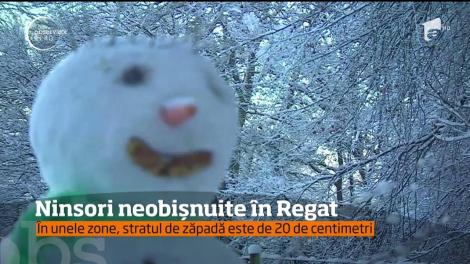 Video. E haos în Marea Britanie! Cea mai puternică NINSOARE din ultimii ani a blocat tot