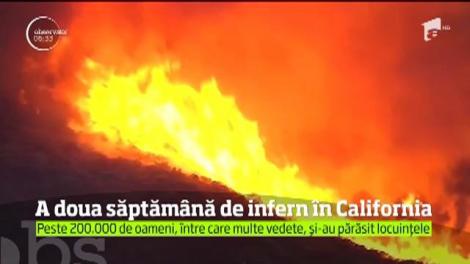 Pompierii din California au intrat în a doua săptămână de luptă cu unul din cele mai mari incendii de vegetaţie din istoria statului