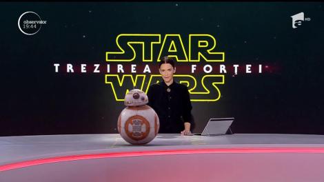 Moment neașteptat în platoul Observator. Andreea Berecleanu s-a trezit cu un musafir în timpul emisiei!