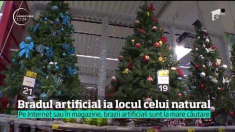 Bradul artificial îşi face loc tot mai mult în casele românilor
